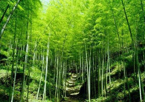 人少景美！五一小長(cháng)假最適合出游的的當地